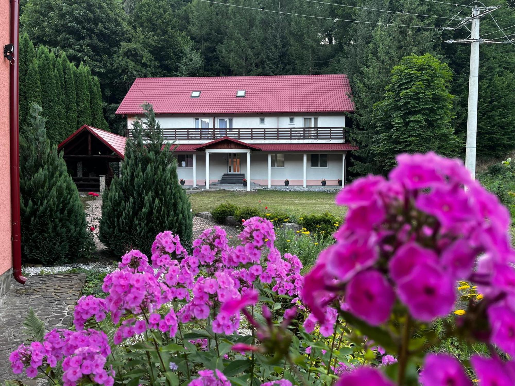 Vacation Villa Sucevita Kültér fotó