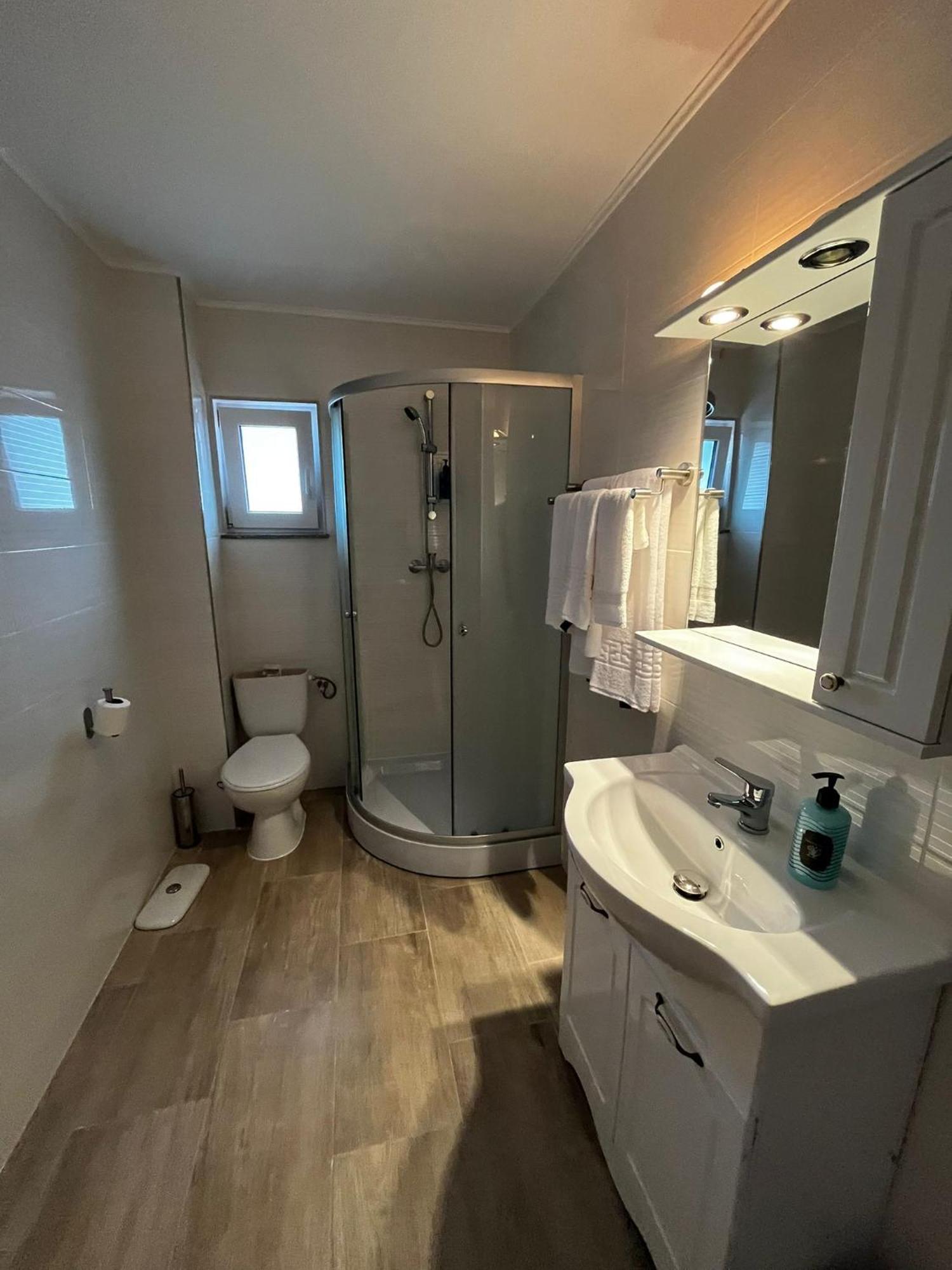 Vacation Villa Sucevita Kültér fotó